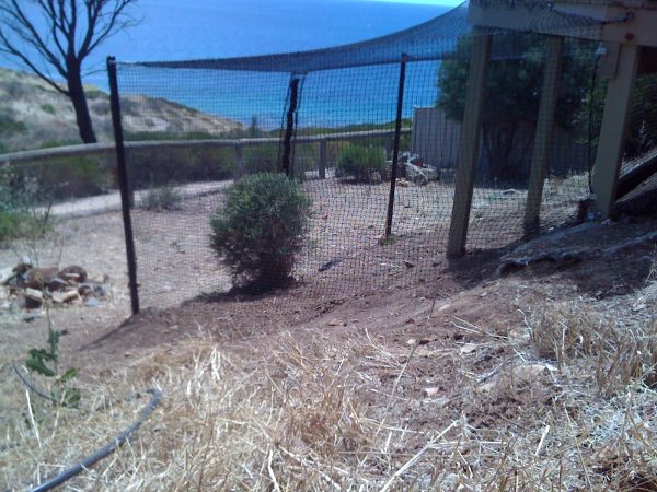 I Phone Pictures 2011 072