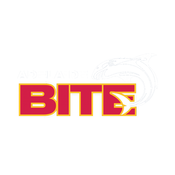 Quin Sports and Nets The Best Football Nets Adelaide